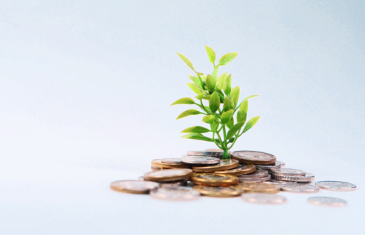 a pile of coins with a plant growing out of the top