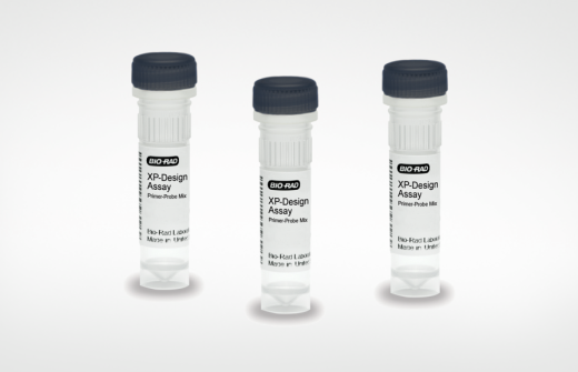 XP-Design Assay Salmonella Serotyping Solution