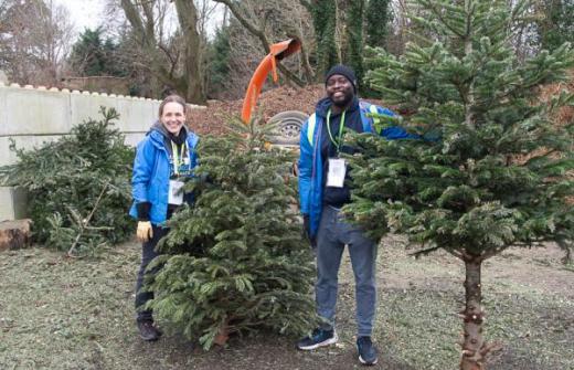 Male and female standing with Christmas Trees 