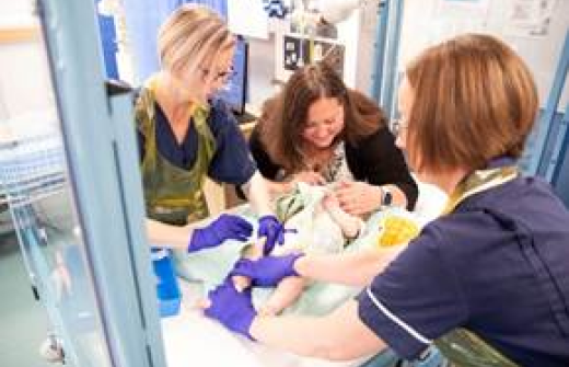 nurses caring for a baby 