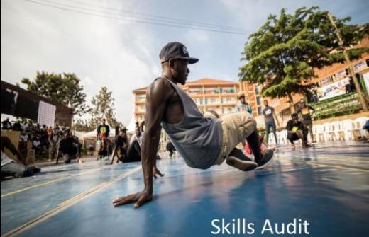 breakdancer_ skills audit