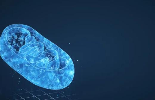 dna image