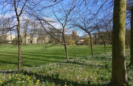 Cambridge scene in spring