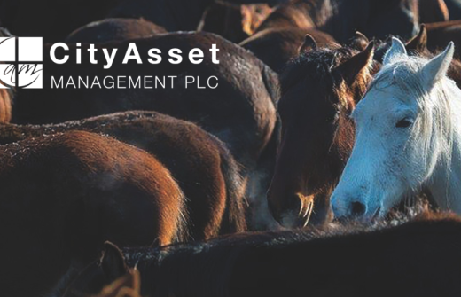 city asset management 