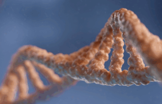 DNA