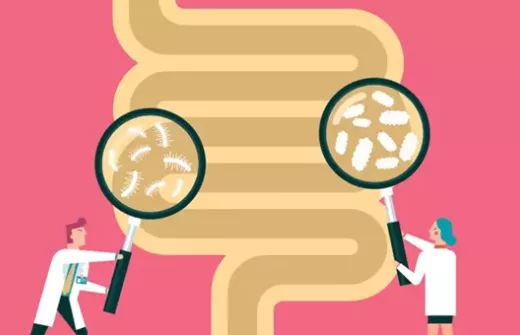 Image featuring intestines with people with big magnifying glasses showing what lives in your gut