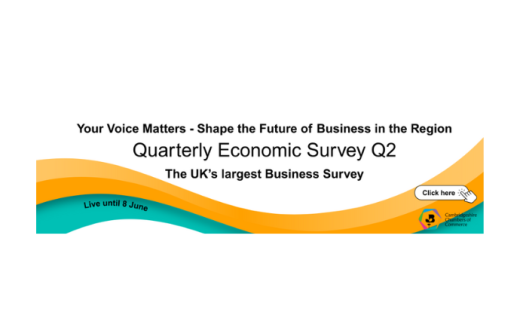 Quarterly Economic Survey Q2 2025