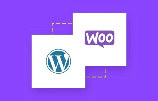 WooCommerce meets WordPress