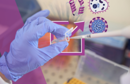 The Proteins We Work With: A Guide to Supported Antigen Materials