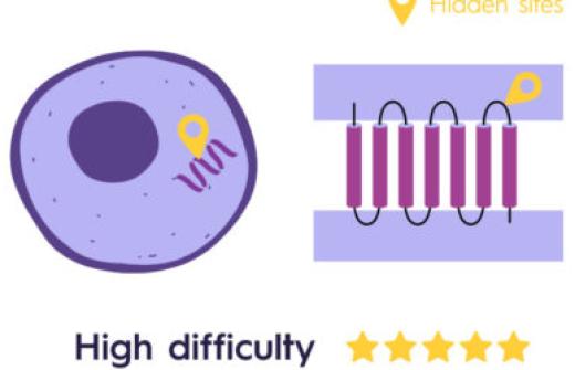 Unlocking Hard-to-Drug Targets with VHH Antibody Discovery
