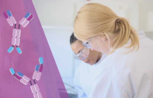 Building Smarter Therapeutics with VHH Bolt-Ons