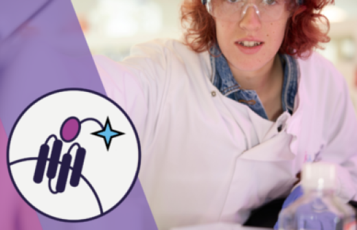 How VHHs Can Redefine the Next Generation of ADCs