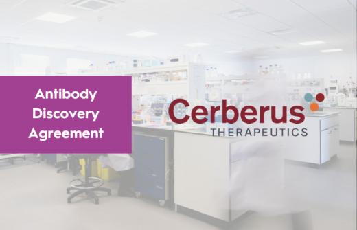 Cerberus Therapeutics Enters into Antibody Discovery Agreement with Isogenica
