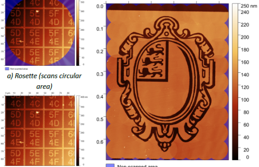 Large area scans made using high-speed atomic force microscopy.