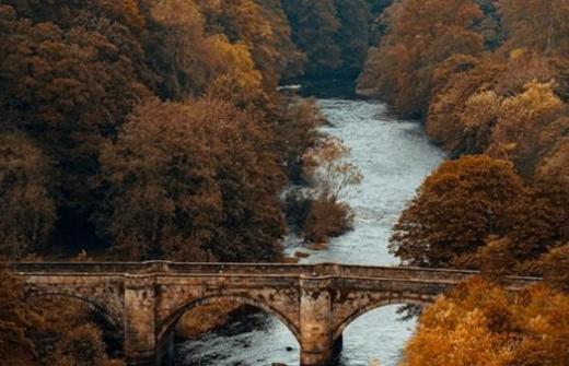 A stone bridge over an autumn river. Credit Dan Smedley on Unsplash