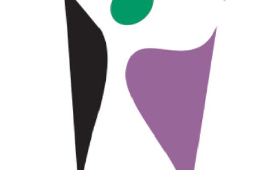 CamAWiSe logo