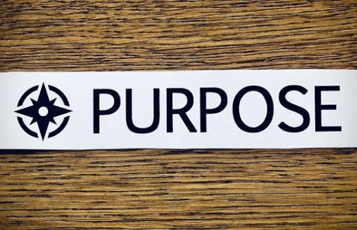 Purpose written in cpaital letters on a brown background
