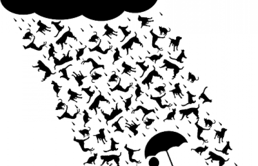 Image by OpenClipart-Vectors from Pixabay
