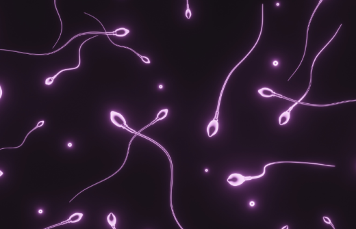 sperm