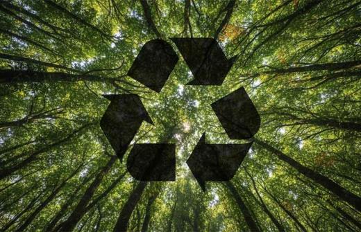 Sustainable Product Design