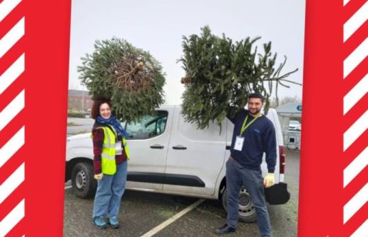Photo of 2 volunteers loading Christmas trees into a van.