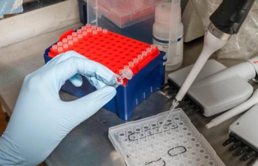 a scientist working 