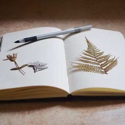 Journaling