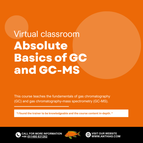Absolute Basics of GC and GC-MS