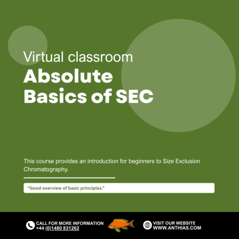 Absolute Basics of SEC