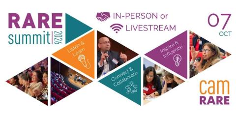 A graphic with white background showing orange, teal and purple colour triangles with photos people at an event and the heading RAREsummit26
