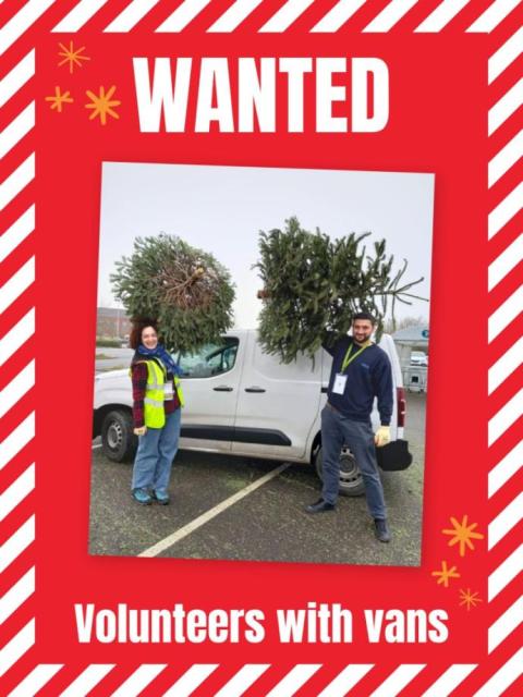 Photo of 2 volunteers loading Christmas trees into a van.