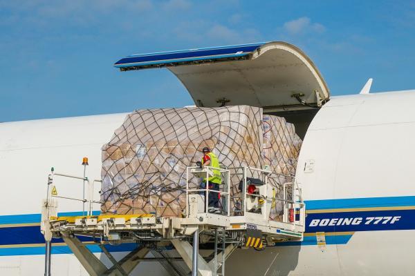 Cargo being loaded onto a plane at Stansted