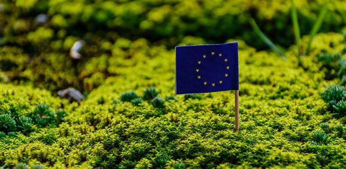green vegetation with EU flag in the middle