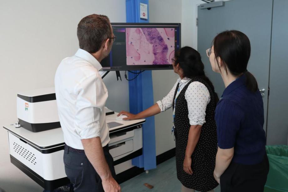 Looking at the new confocal microscope