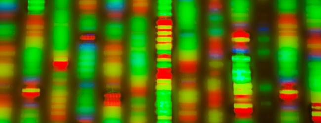 graphic depicting genetic code
