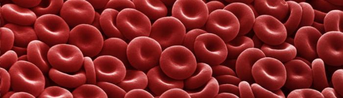 Annie-Cavanagh_red-blood-cells_CC-BY-NC-4.0_HERO