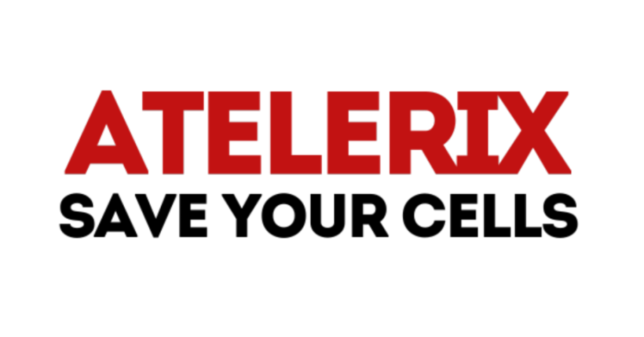 Atelerix
