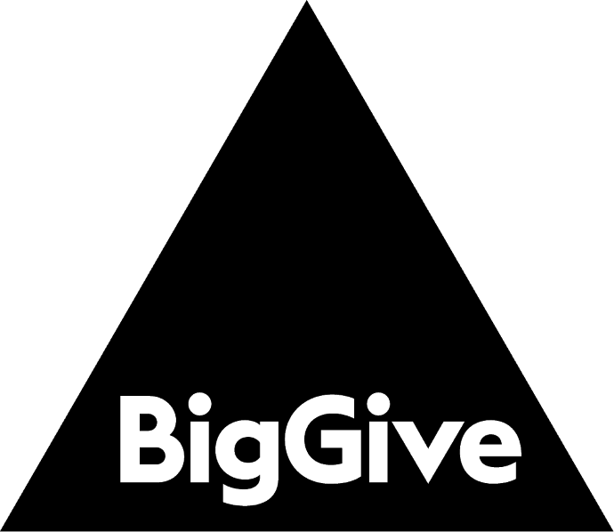 big give logo