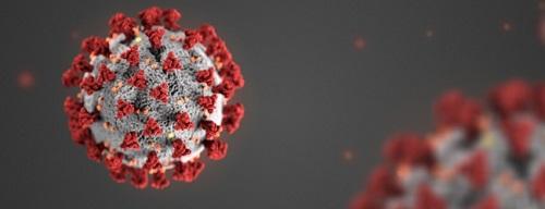 Coronavirus: Image credit: CDC/ Alissa Eckert, MS; Dan Higgins, MAMS
