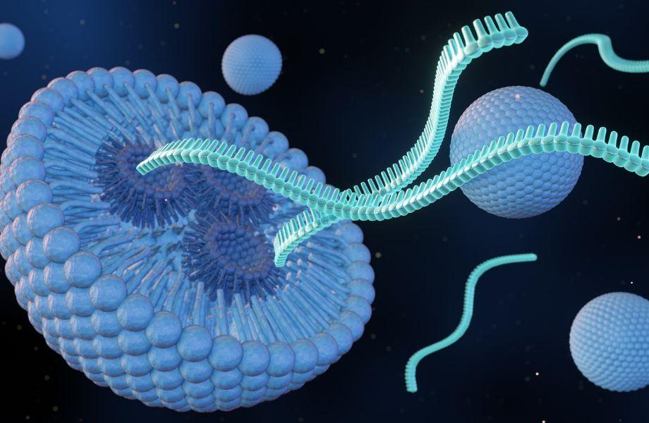 a In vivo cell 