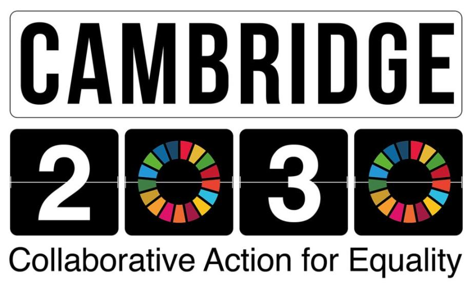 Cambridge 2030 logo