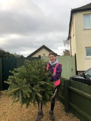 Christmas tree collection to raise money for EACH