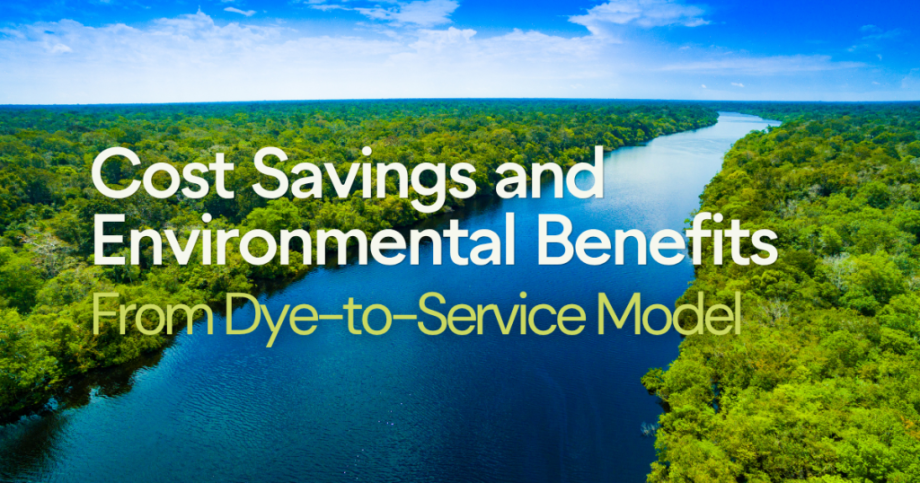 Cost Savings and Environmental Benefits from Dye-to-Service Model