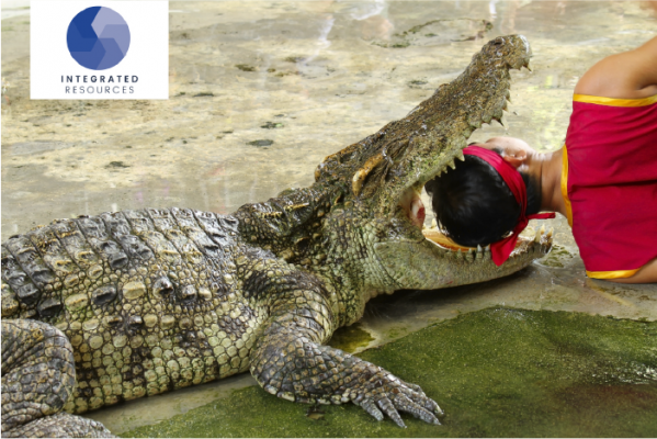 crocodile with mouth wide open, man's head inside it