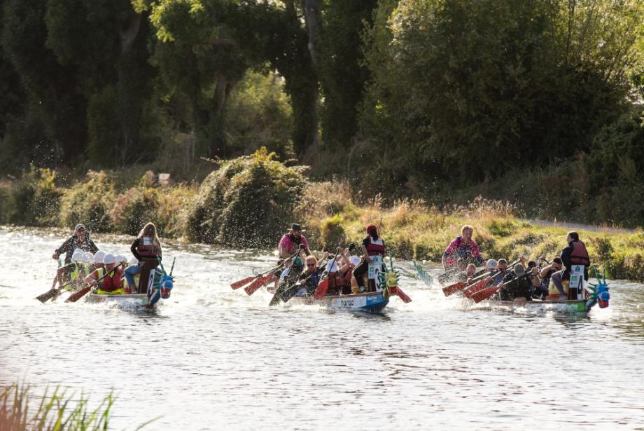 Dragon Boats competing on the water