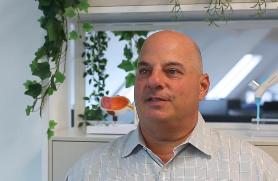 David Maltz, Team Consulting