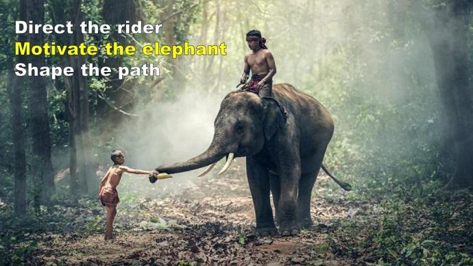 change-management-elephant-rider-path