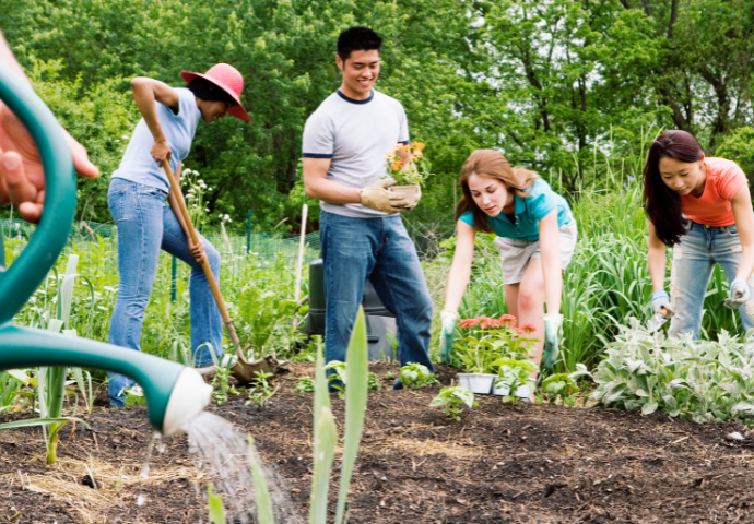 group of people in a community garden 