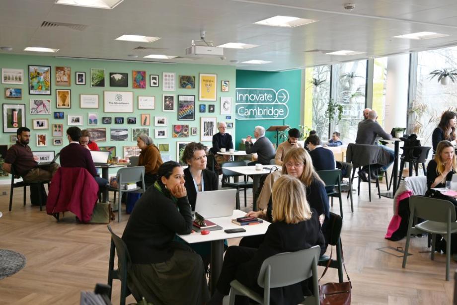 people coworking 