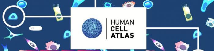 Human cell Atlas banner_  © Wellcome Sanger Institute